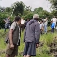 कर्णालीको रैथाने उत्पादनमा आकर्षण