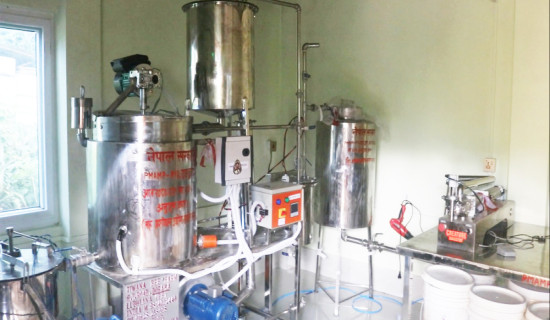भौतिक पूर्वाधारमन्त्रीद्वारा बेलिब्रिज उद्घाटन
