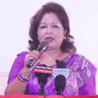 साना उद्योगमा विदेशी लगानी प्रतिबद्धता धेरै