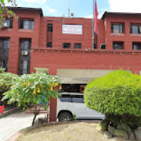 यस्ता छन् कुकुर पाल्न चाहिने मापदण्ड