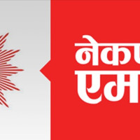 साना उद्योगमा विदेशी लगानी प्रतिबद्धता धेरै