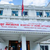 नेपालको कला विश्वकै चिनारी : उपराष्ट्रपति