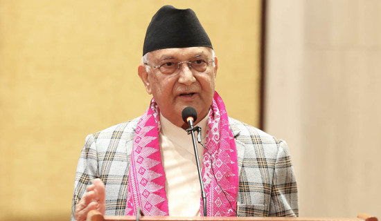 नेपालको कला विश्वकै चिनारी : उपराष्ट्रपति