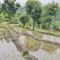 सार्वजनिक सेवाको गुणस्तर