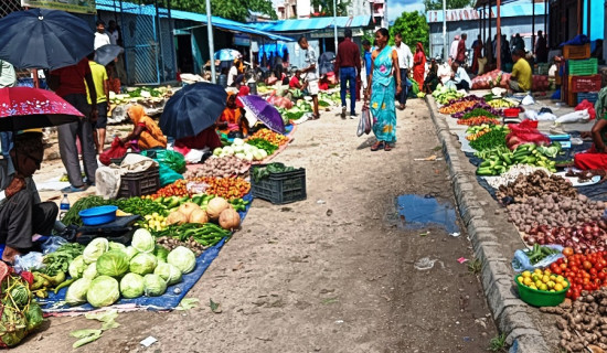 मधेसमा तेत्तीस लाख बढी मतदाता