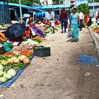 राजनीतिक दल चुनावी दौडधुपमा, किसान गहुँ काट्न खेतमा