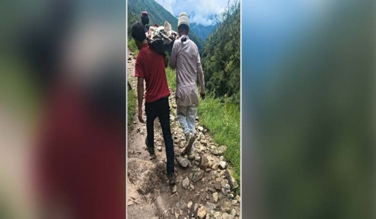 भेरी नदीको पुलबाट खसेर महिला घाइते