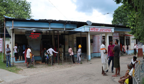 स्क्रब टाइफसका बिरामी बढ्दै