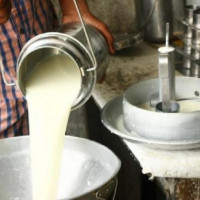 खोलाले बगाउँदा बालिकाको मृत्यु