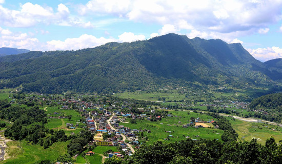 तस्बिरमा कार्टुन कला प्रदर्शनी