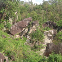 सहरबाट गाउँ फर्केर गाईपालन