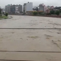 झस्कायो ‘स्वाइन फिभर’ ले