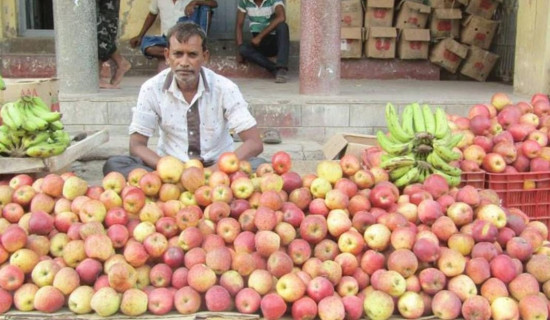 इन्धन कारोबारबाट   राजस्व सङ्कलन वृद्धि