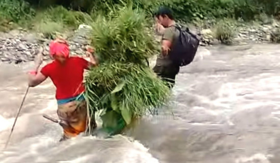 निस्तीमा खोलामा अझै जोखिम उस्तै