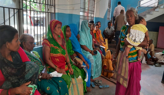जनकपुरमा लोसपाबाट मेयरमा चौधरी र उपमेयरमा मिश्र