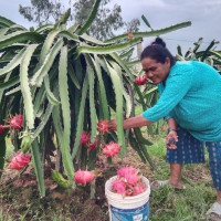 लिसाको नतिजा सार्वजनिक हुँदै, एलजिपिएस शुभारम्भ गरिने