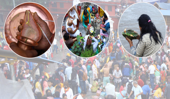 शिवपुरी जङ्गलको आगो निभाउने प्रयास (फोटो फिचर)
