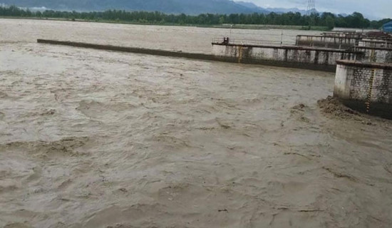 खाँडो खोलाको पानी खेतमा पुगेपछि तिलाठी–लौनियाँका किसान उत्साहित