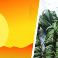 विपन्न नागरिकका घरको फेरियो छानो
