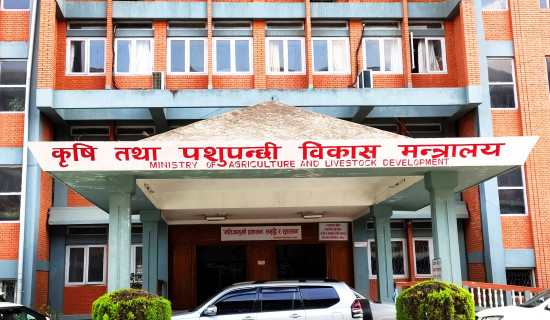 अन्तरदेशीय पाइपलाइन आयोजना :  बजेट अभावमा काम अगाडि बढेन