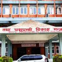 भूकम्प क्षेत्रमा सुत्केरीको बिजोग