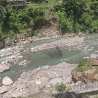 यस्तो छ आजको सागसब्जी र फलफूलको थोक मूल्य