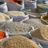 कालीगण्डकी नदी किनारमा चित्रकला