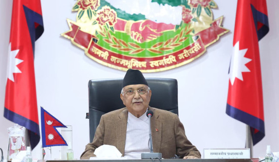 संविधान घोषणाको दशकलाई विशेष उत्सव मनाइने