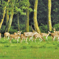 दुई दशकपछि खाल्सामा कालोपत्र
