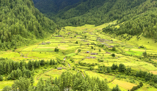 ओझेलमा छ सुन्दरताले भरिपूर्ण दिज गाउँ