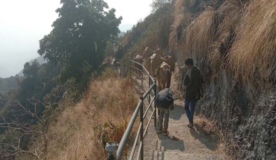 ‘राज्यले आफ्नो भूमि बचाउन सक्नु पर्छ’