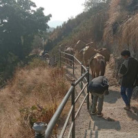 मुस्ताङ र डोल्पा जोड्ने सडक निर्माण तीव्र