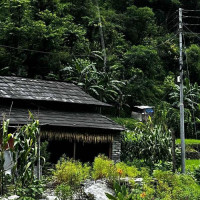 चक्रपथ निर्माण सुस्त  : तीन वर्षमा छ सय मिटर कालोपत्रे