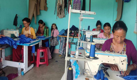 घरेलु तथा साना उद्योगमा सात अर्ब बढी लगानी