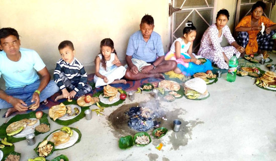 तरकारीका बिरुवा बेचेर मनग्य कमाइ