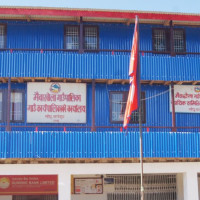 मानव पुर्खा लुसीको पहिलो पटक युरोपेली प्रदर्शन