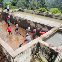 मानव पुर्खा लुसीको पहिलो पटक युरोपेली प्रदर्शन