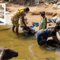स्ववियु कार्यतालिका सार्वजनिक, निर्वाचन चैत ५  गते