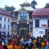 नक्कली मोही खडा गरेर जग्गा हत्याउने प्रयास