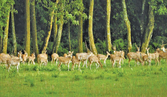 जङ्गली जनावरको व्यावसायिक पालन