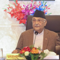 तीजले सामाजिक समरसता कायम गर्छः उपराष्ट्रपति