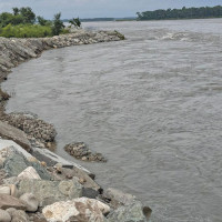 गाईपालनबाटै मासिक तीन लाख