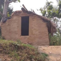 बालबालिकालाई ‘स्वर्णविन्दु प्राशन’ थोपा