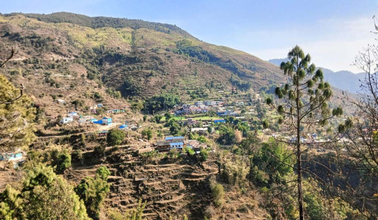 बसाइँ सरेर जानेको सङ्ख्या बढ्दै