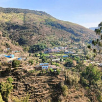 मौलिकताको पर्याय