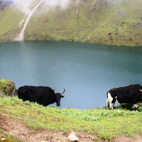 कनकाई नगरले किन्यो विद्युतीय बाइक