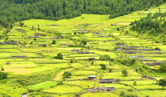 ९५ औं राष्ट्रिय फोटो पत्रकारिता दिवस मनाइयाे (फाेटाे फिचरसहित)