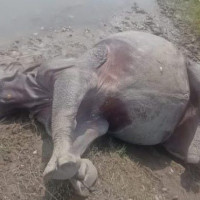 उत्तरी गोरखामा गाडी नचल्दा खाद्यान्न ढुवानीमा समस्या