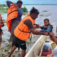 कावासोतीमा पोथी गैँडा मृत भेटियो