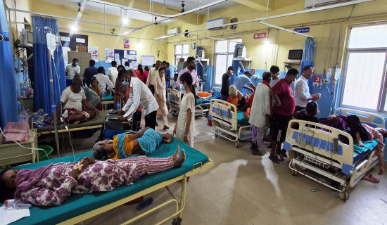 वीरगञ्ज : ११४ जनामा हैजा पुष्टि